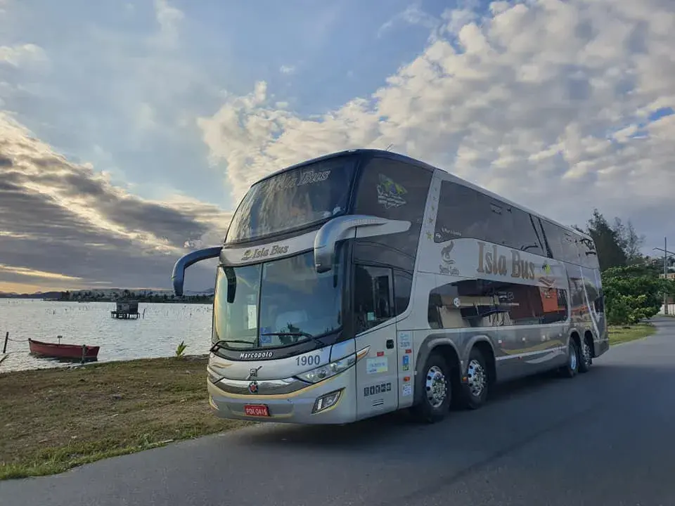 Locação de ônibus para Escolas