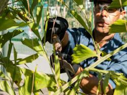 Empresa Terceirização de Jardinagem No ABCDMR