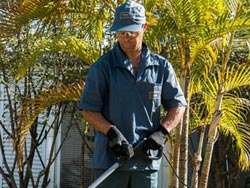 Terceirização de Jardinagem No ABCDMR